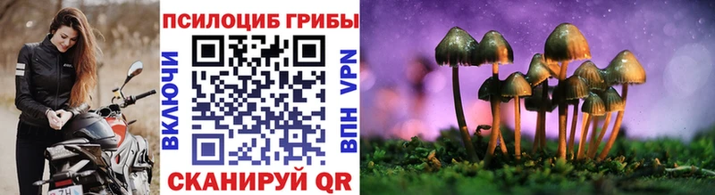 Галлюциногенные грибы ЛСД Тихорецк