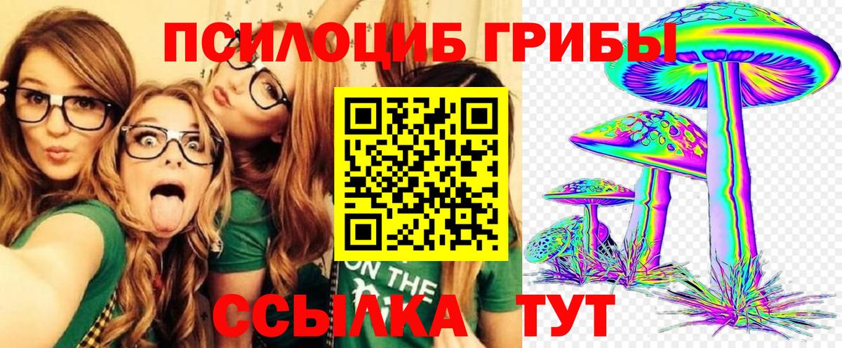 Псилоцибиновые грибы Cubensis  Вход с VPN  Тихорецк 